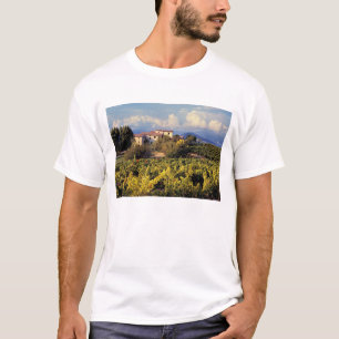 Camiseta Europa, França, Bonnieux. Vinhas cobrem o