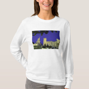 Camiseta Europa, França, Provença, Avinhão. Palácio dos