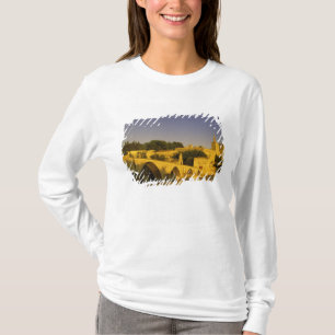 Camiseta Europa, França, Provença, Avinhão. Pont St, 2