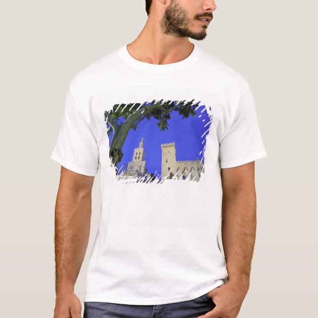 Camiseta Europa, França, Provença, Vaucluse, Avignon. (Frente)