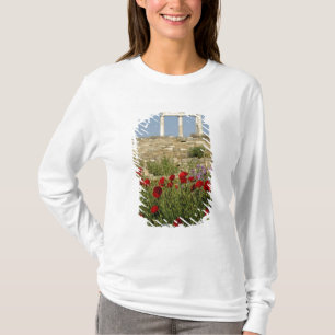 Camiseta Europa, Grécia, Cíclades, Delos. Ruínas de coluna.