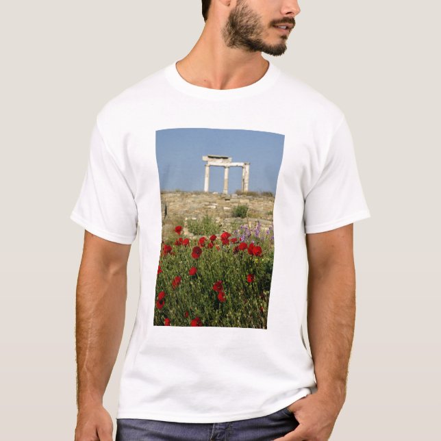 Camiseta Europa, Grécia, Cíclades, Delos. Ruínas de coluna. (Frente)
