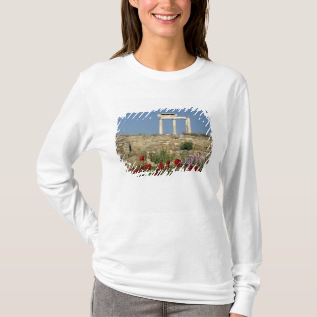 Camiseta Europa, Grécia, Cíclades, Delos. Ruínas de coluna. (Frente)
