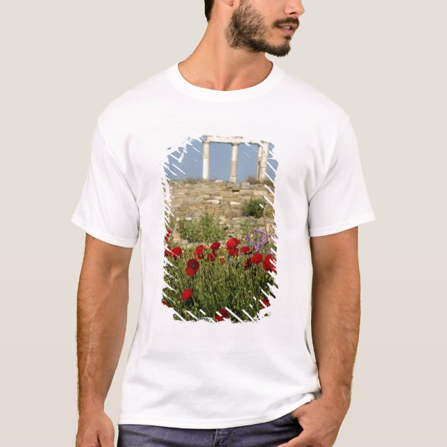 Camiseta Europa, Grécia, Cíclades, Delos. Ruínas de coluna. (Frente)