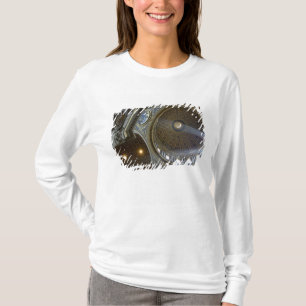 Camiseta Europa, Itália, Roma. Rua, Basílica de Peter (ta