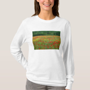 Camiseta Europa, Itália, Toscana, papoulas vermelhas no cam