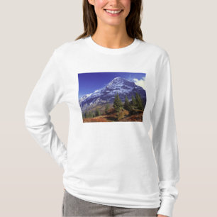 Camiseta Europa, Suíça, Eiger. Cores de outono abundam