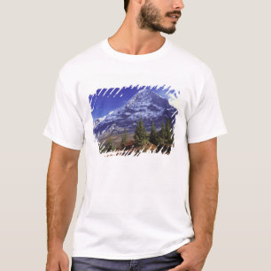 Camiseta Europa, Suíça, Eiger. Cores de outono abundam