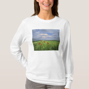 Camiseta Europa, Toscana, Poggiolo. Papoulas vermelhas bala