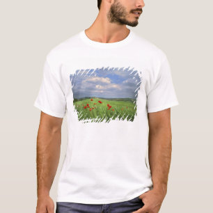 Camiseta Europa, Toscana, Poggiolo. Papoulas vermelhas bala