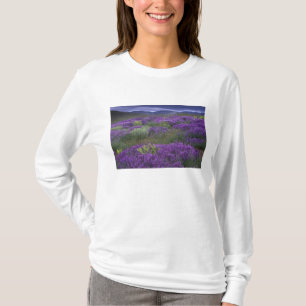 Camiseta Europa, Turquia, Capadócia. Paisagem rural 2
