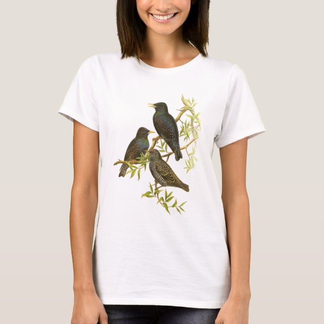 Camiseta Europeu Starling (Frente)