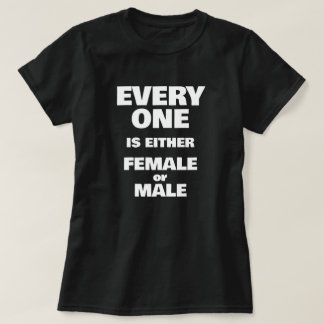 Camiseta Everything else is a lie