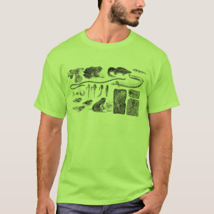 Camiseta Evolução anfíbia