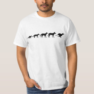 Camiseta Evolução de Whippet