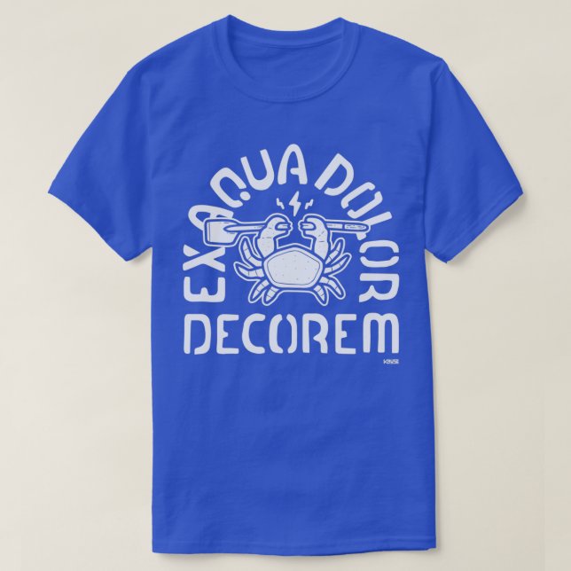 Camiseta Ex Aqua Dolor Decorem (Frente do Design)