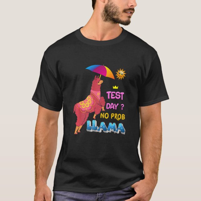 Camiseta Exame de Professor Llama no Dia de Teste (Frente)