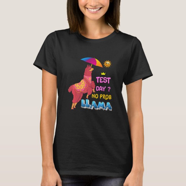 Camiseta Exame de Professor Llama no Dia de Teste (Frente)