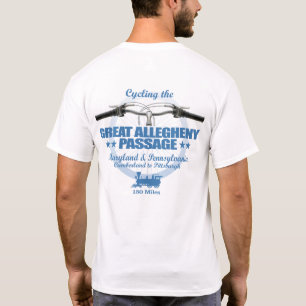Camiseta Excelente Alegadamente Passagem (H2)