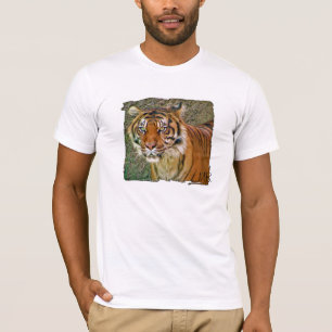 Camiseta Excelente Tiger T-Shirt!