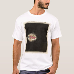 Camiseta Exibindo o império de Alexander 323 BC