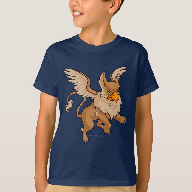 Camiseta Eyrie Brown (Frente)