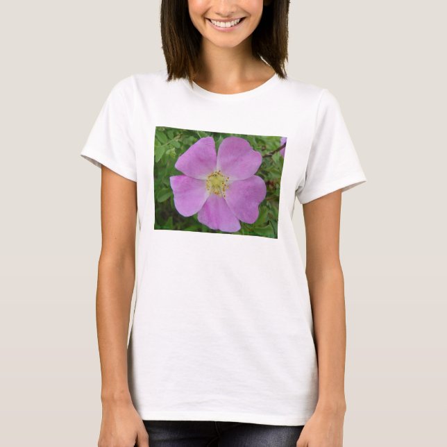 Camiseta F11 Prairie Wild Rosa "Rosa arkansana" (Frente)