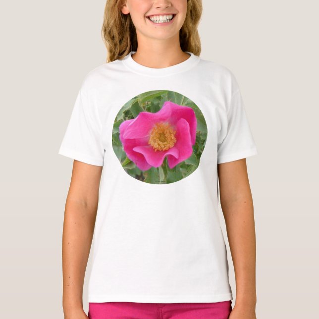 Camiseta F23aw Rosa (Frente)