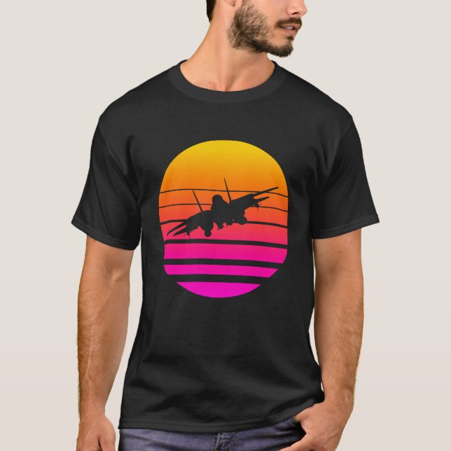 Camiseta F-14 Tomcat Sunset (Frente)