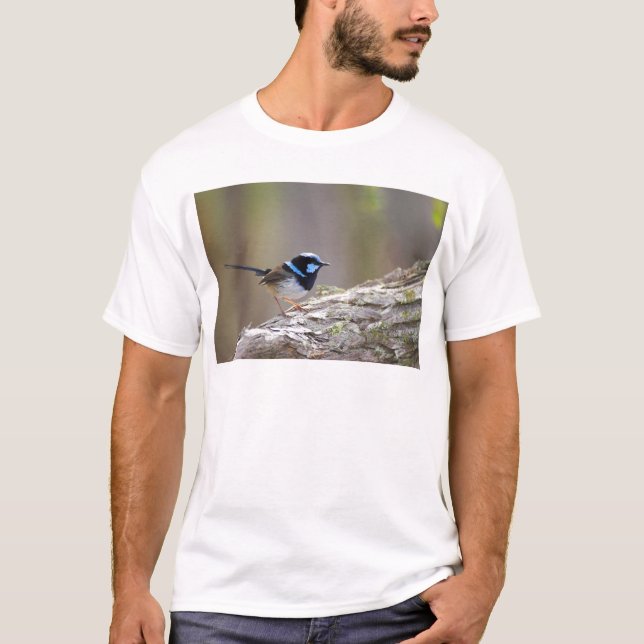 Camiseta Fada-carriça magnífica (Frente)