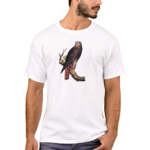 Falcão atado vermelho