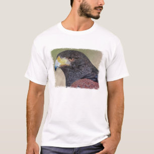 Camiseta Falcão-cp de Harris