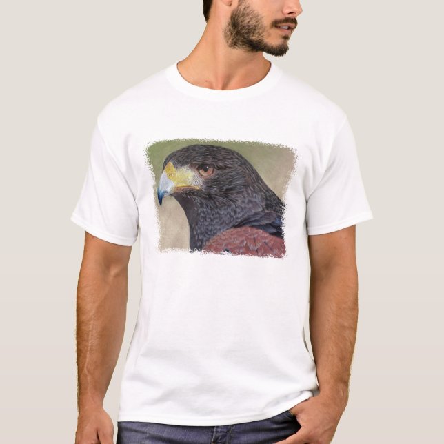Camiseta Falcão-cp de Harris (Frente)
