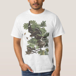 Camiseta Falcão da noite de Audubon