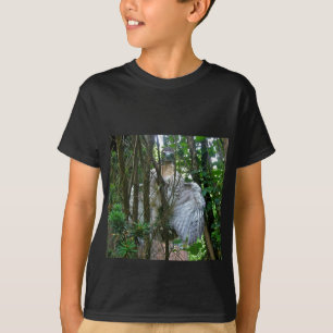 Camiseta Falcão de Cauda Vermelha Imaturo Coordenando Itens