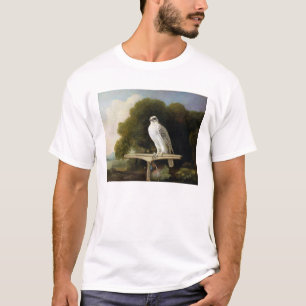 Camiseta Falcão de Greenland (falcão cinzento), 1780 (ól