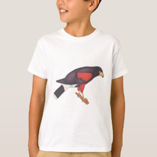 Camiseta Falcão-de-harris aquarela arte de animal ave