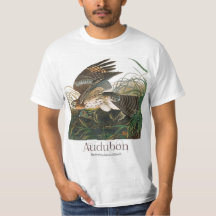 Falcão de ombros vermelhos de John James Audubon