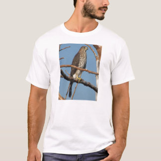 Camiseta Falcão dos tanoeiros