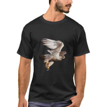 Falcão Saker voando
