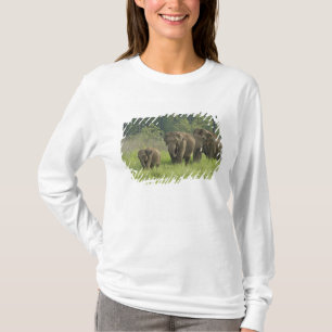 Camiseta Família de Elefantes Indianos