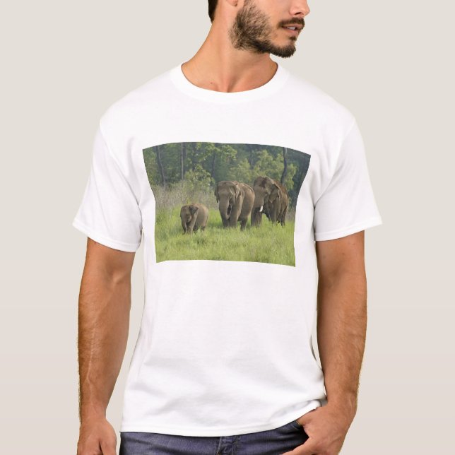 Camiseta Família de Elefantes Indianos (Frente)