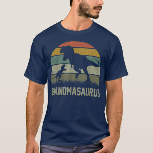 Camiseta Família Grandma Saurus T Re Dinossauro AvóSaurus 