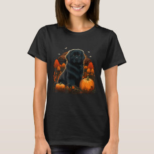 Camiseta Fantasias de Abóbora Newfie em Cão Terra Nova