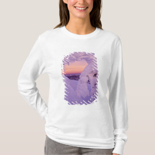 Camiseta Fantasma de neve na Cordilheira Whitefish ao Crepú