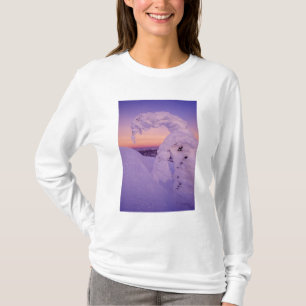 Camiseta Fantasma de neve na Cordilheira Whitefish ao Crepú