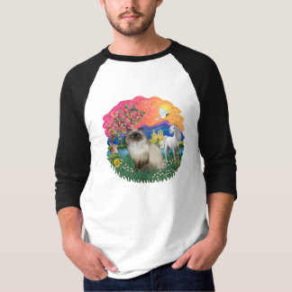Camiseta Fantasy Land (ff) - Himilayan Cat