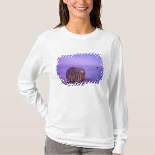 Camiseta Fardos de Palha de Inverno perto de Cartwright Nor