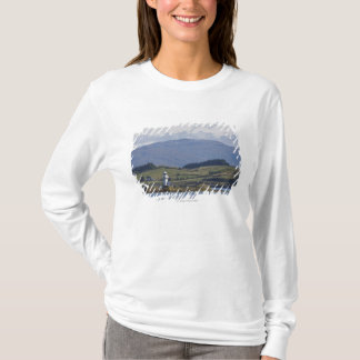 Camiseta Farol de Rhue