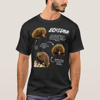 Camiseta Fatos Divertidos Echidna